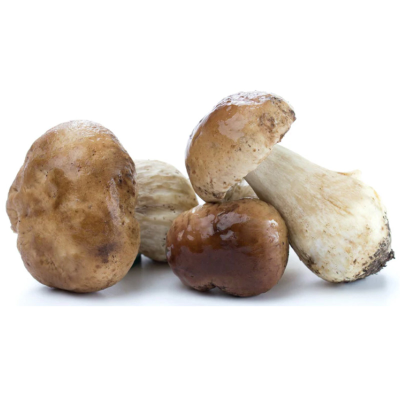 Porcini Bouchon Extra – 1 bag