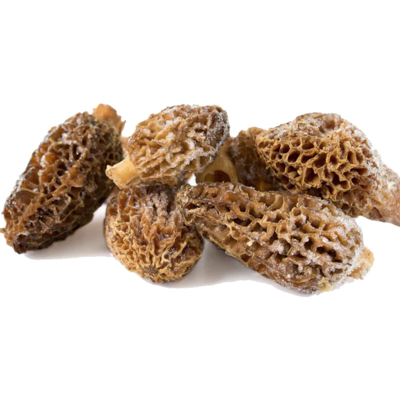 Morel Mushrooms – 1 bag