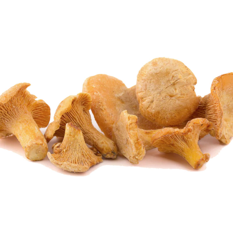 Chanterelle Mushrooms – 1 bag