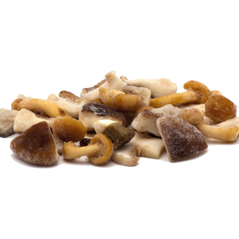 Mushroom Mix Mg 10% Porcini – 1 bag