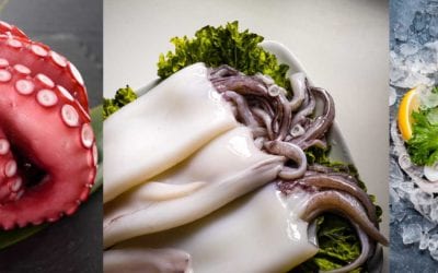 What is the difference between octopus, squid and cuttlefish ?