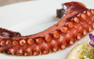 Cooked Octopus, Everything You Need To Know!