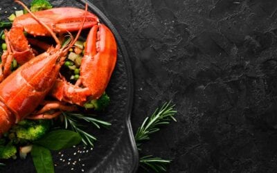 Difference between blue lobster and Maine lobster