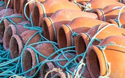 Why is sustainable fishing important?