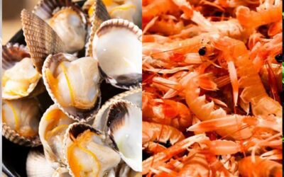 Mediterranean Seasonal Seafood: A Guide to Optimal Flavor and Enjoyment