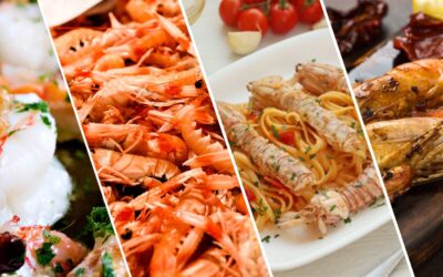 Types of Shrimps: A Guide to the Best Shrimp Varieties for Seafood Lovers