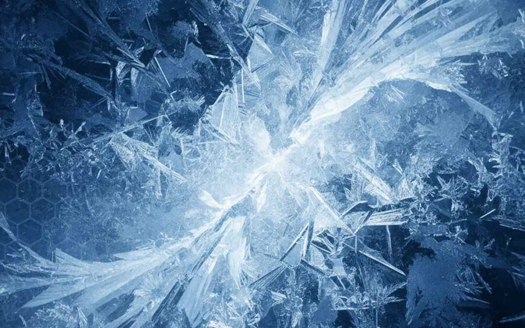 Why IQF Seafood is the Gold Standard