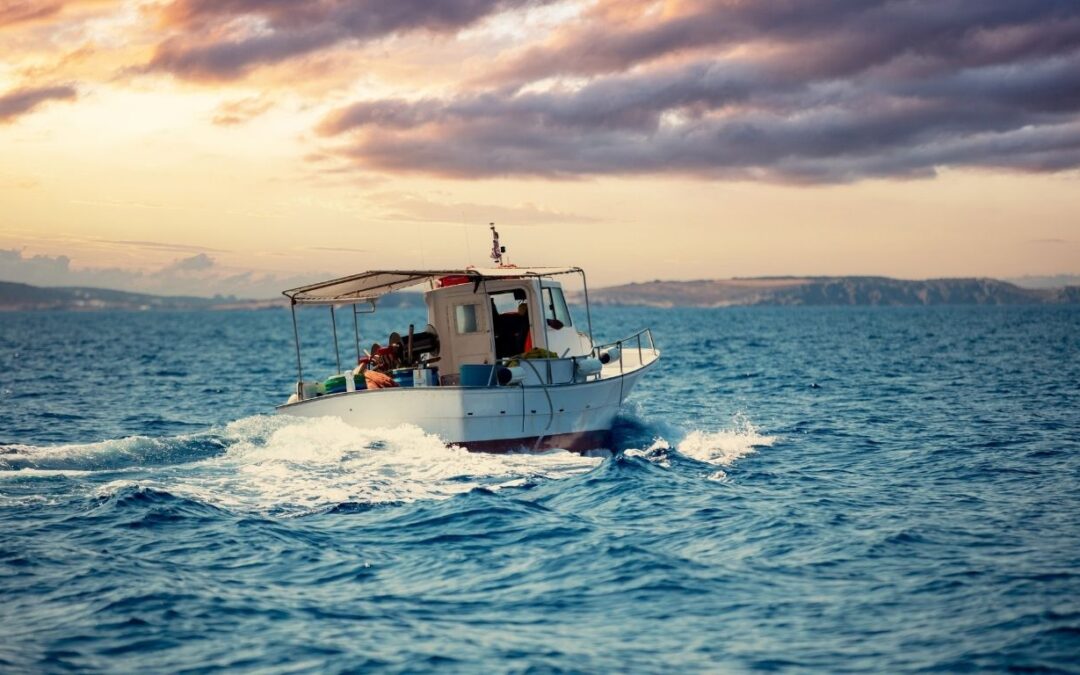 Mediterranean Seafood US: Sourcing & Quality Guide