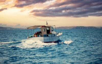 Mediterranean Seafood US: Sourcing & Quality Guide
