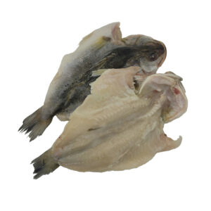 Japanese seabass btterflied front and back