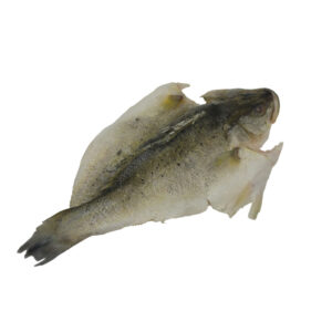 Japanese seabass btterflied