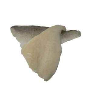 Japanese seabass filet front and back